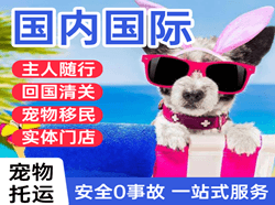 昆冈机场托运国际宠物托运 【国